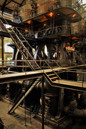 Water plant3